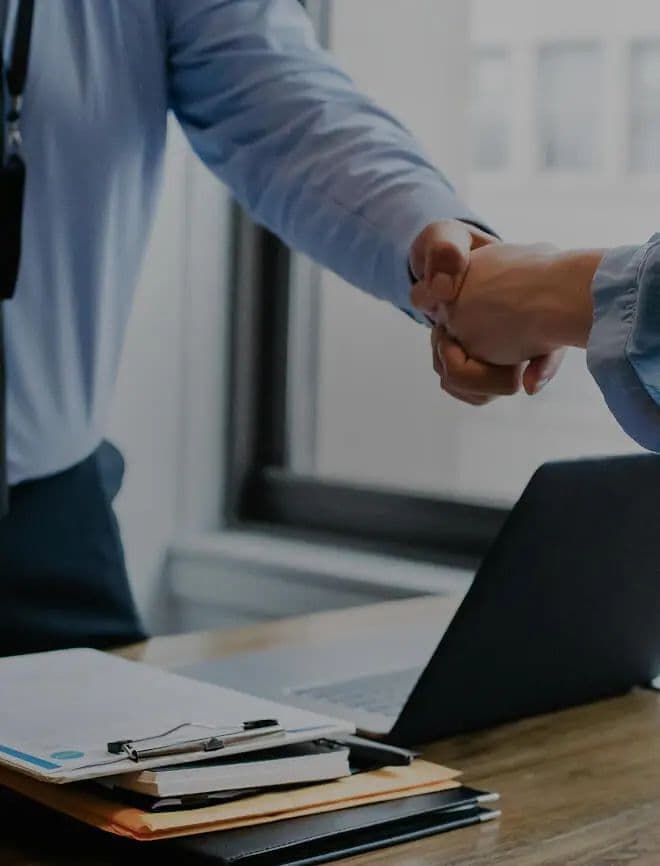 Expert voor internationale holding